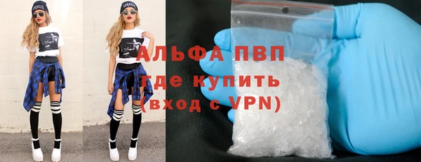 соль ск Ельня