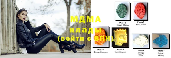 соль ск Ельня