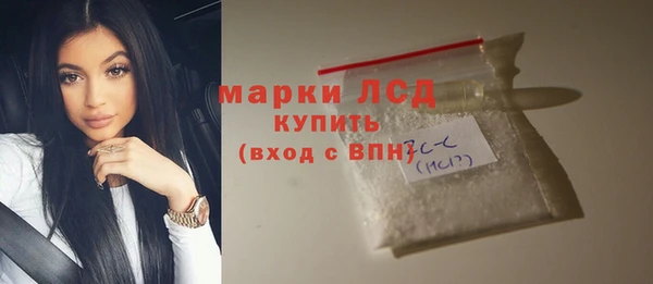 соль ск Ельня