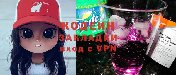 соль ск Ельня