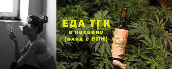 соль ск Ельня