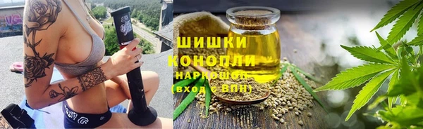 соль ск Ельня