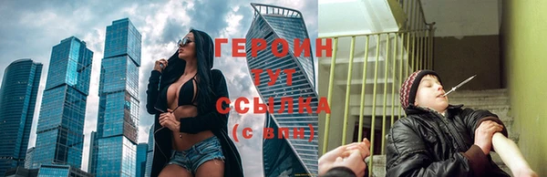 соль ск Ельня