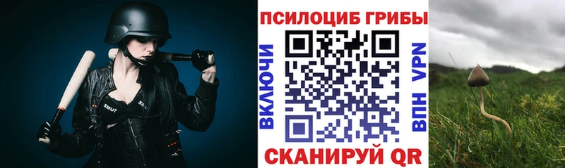 нарко площадка как зайти  как найти наркотики  Кирово-Чепецк  Галлюциногенные грибы GOLDEN TEACHER 
